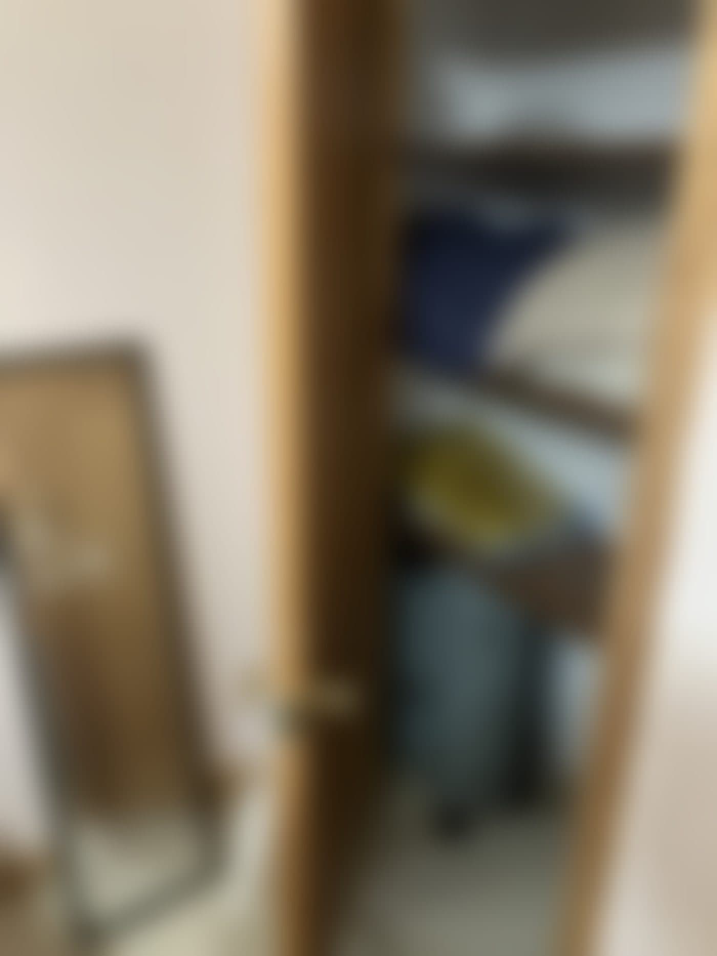棚付きクローゼット＋姿見